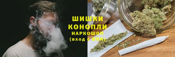 ECSTASY Осинники