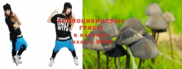 гидра Белокуриха