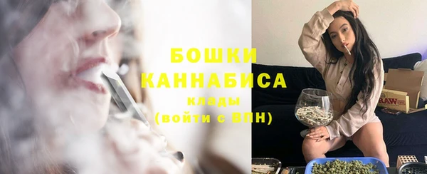 гидра Белокуриха
