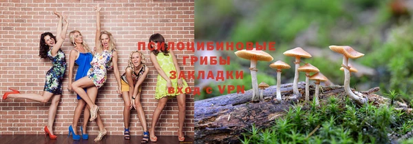 гидра Белокуриха