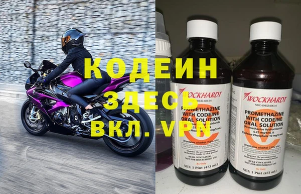 гидра Белокуриха