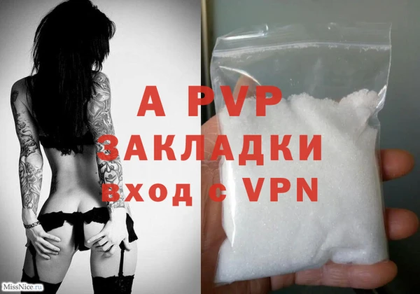 гидра Белокуриха