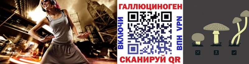 ОМГ ОМГ зеркало  Цивильск  Галлюциногенные грибы Psilocybe  наркошоп 